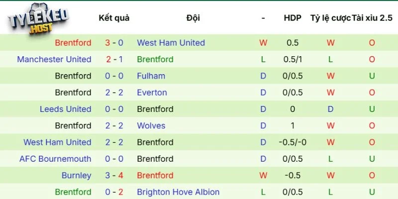 Dấu ấn thi đấu của Brentford