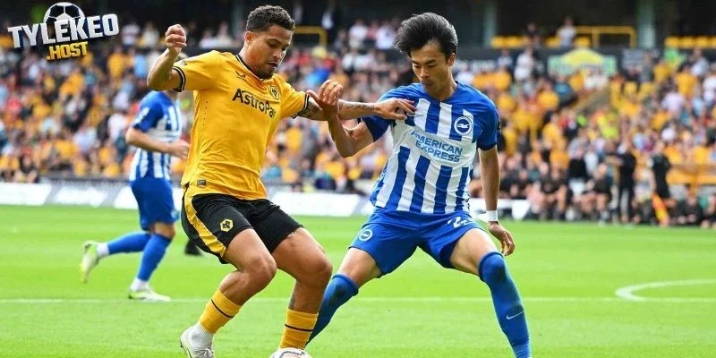 Tổng quan phong độ Brighton vs Wolves