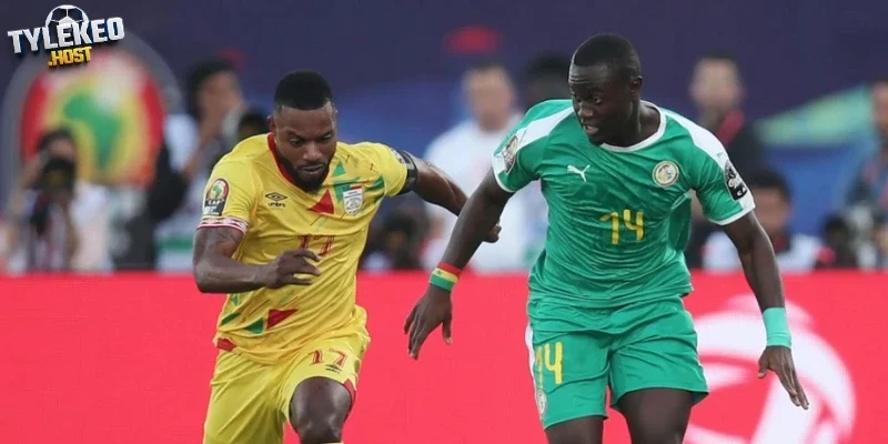 Dự đoán danh sách xuất phát nơi Sénégal vs Iraq