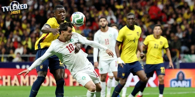 Sơ đồ đội hình của Bờ Biển Ngà và Ecuador