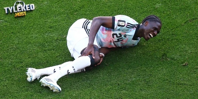 Amadou Onana giữ vị trí quan trọng trong lối chơi của tuyển Bỉ
